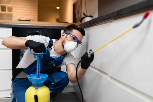 Best Bed Bug Extermination  in Haubstadt, IN