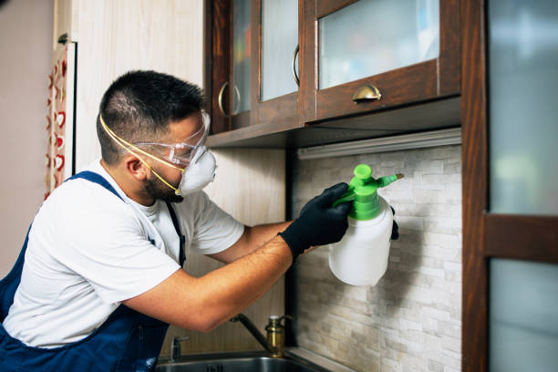 Professional Pest Control in Haubstadt, IN
