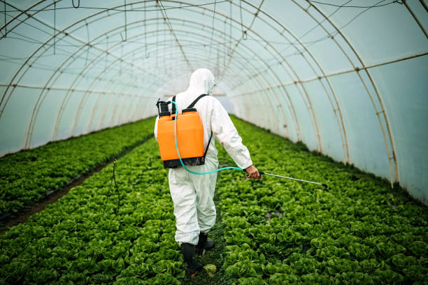 Best Commercial Pest Control Services  in Haubstadt, IN