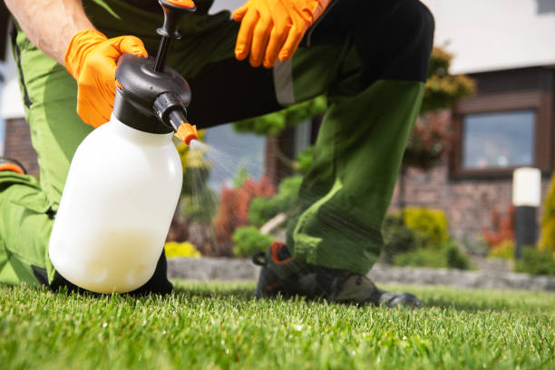 Best Mosquito Control Services  in Haubstadt, IN