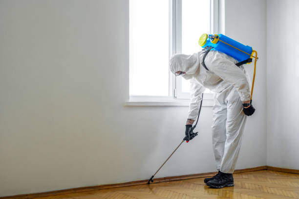 Best Pest Inspection Near Me  in Haubstadt, IN