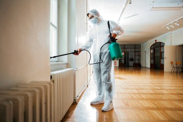 Best Affordable Pest Control Services  in Haubstadt, IN