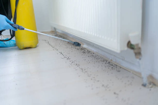 Best Pest Control Near Me  in Haubstadt, IN